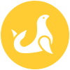 100x100_zeehond